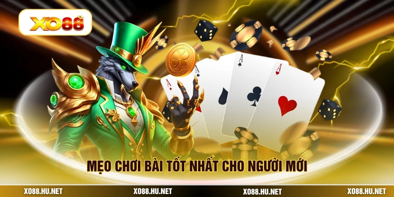 Mẹo chơi bài tốt nhất cho người mới