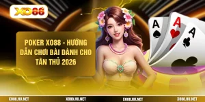 Poker XO88 - Hướng Dẫn Chơi Bài Dành Cho Tân Thủ 2026